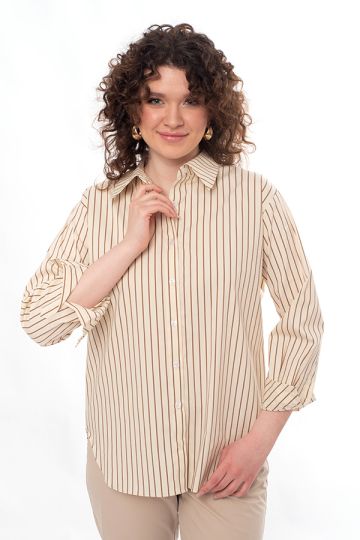 Классическая рубашка 001-318